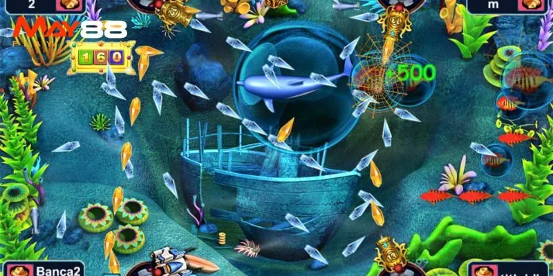 Lưu ý quan trọng